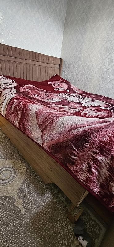 Диваны: 2 односпальные кровати, Шкаф, Комод, Трюмо, Беларусь, Б/у — 5