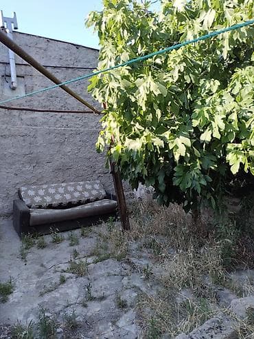təmirsiz: 3 otaqlı, 400 kv. m, Kredit yoxdur, Təmirsiz — 8