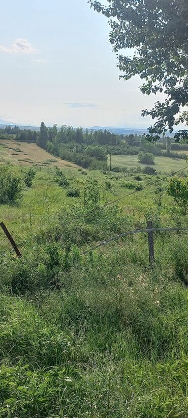 mağaza üçün yer icarəyə götürürəm: Ünvan: Qusar şəhəri Ləyər kəndi (ləzgi ləyər) 1hk 68 sot bağ yeri — 10