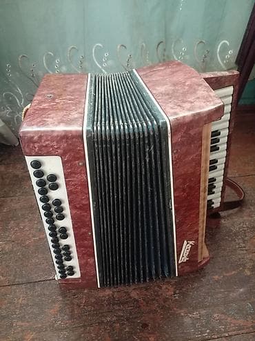 akustik gitar: Kozolov markalı akkordeon - Korpus: qırmızı-mərmər teksturalı — 1