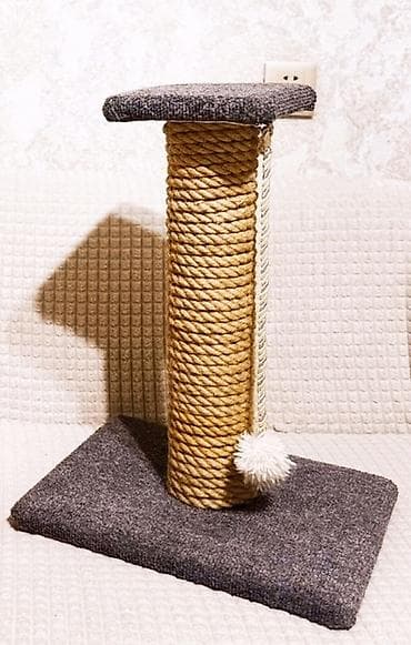 ideal mebel: 🐾Pişiklər üçün Dırnaqitiləyən - Yeni və keyfiyyətli! Evində pişik — 5