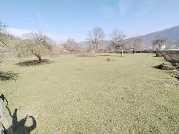 kirayə evlər gəncə 2023: 64 sot, Tikinti, Mülkiyyətçi, Bələdiyyə — 4