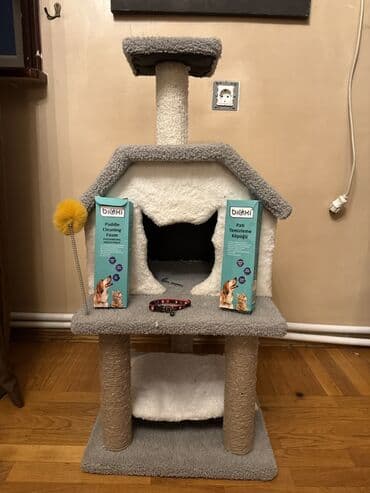 buynuzlu heyvanlar: Kedi üçün tam aksesuar dəsti Paketin tərkibi: - Nursoft markalı sisal — 3