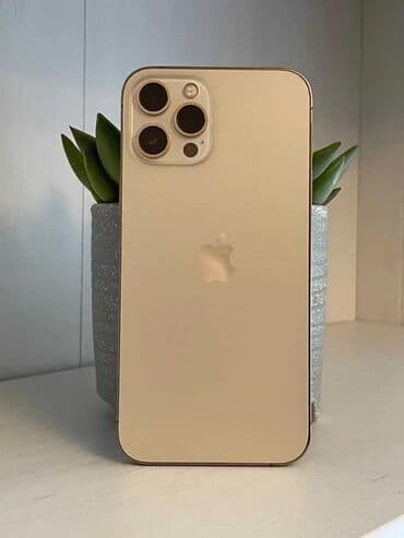 IPhone 12 Pro Max, 128 GB, Qızılı, Face ID