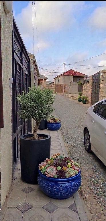 ev heyet: 2 otaqlı, 60 kv. m, Yeni təmirli — 7