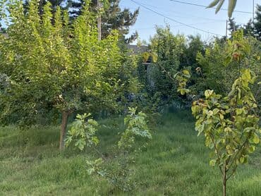 kirayə evlər binə qəsəbəsi: Mərdəkan, 105 kv. m, 3 otaqlı, Hovuzsuz, Qaz, Su, Telefon — 9