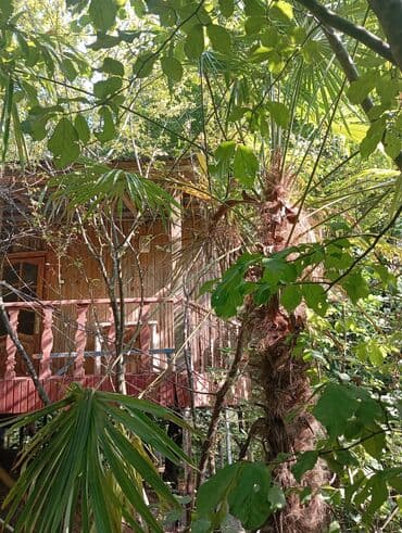 kirayə aylıq: 3000 kv. m, 3 otaqlı — 12