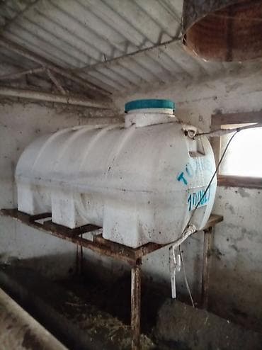 Ferma üçün avtomatik suvarma sistemi - Su çəni: təxminən 1000 litr