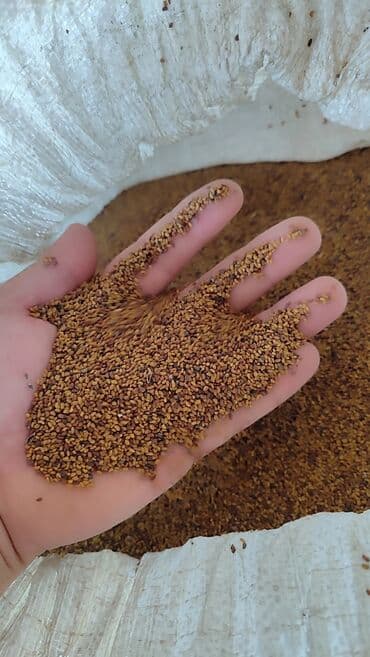 cia toxumunun istifade qaydasi: Məhsul: Yonca toxumu (Medicago sativa) – xırda dənəli, təmizlənmiş — 5