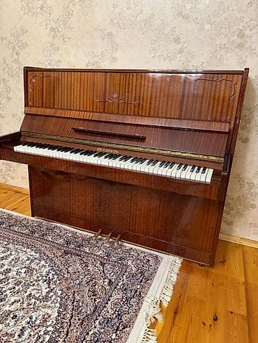 Musiqi alətləri: Piano, Boss, Akustik, Yeni — 1