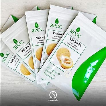 Məhsul: Yaros Seeds – Vakko F1 qovun toxumu - Növ: Vakko F1 (hibrid