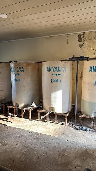 bal satışı: Salyan rayonu, Qaraçala qəsəbəsində 1 hektar xüsusi mülkiyyətə aid — 7