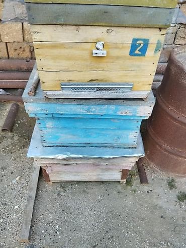 Taxta material.İşlənmiş arı yuvaları.Qiymət razılaşma yolu ilə.Tək-tək