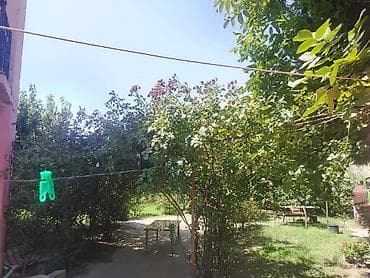 turkanda bag evi: 7 otaqlı, 500 kv. m, Kredit yoxdur — 10