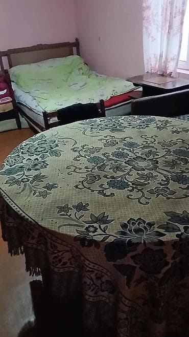 bakı tekstil fabriki: Kiraye ev verilir oglanlar
- Pəncərəli otaqlar, işıqlandırma — 1
