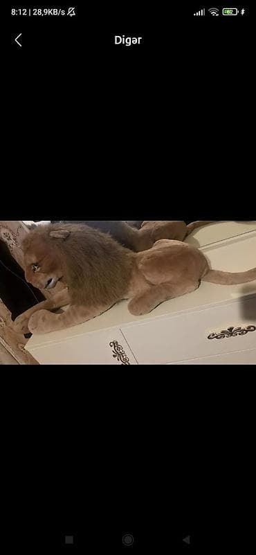 uşaq paltar səbəti: Sabirabada şir kukla satlır60azın aşaqı yeri var — 1