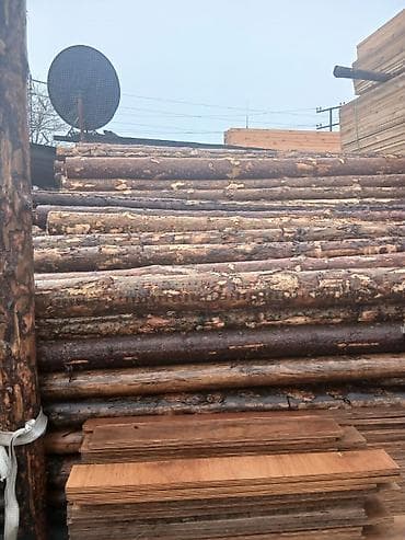 pip agaci: Məhsul: Şam ağacından yumru dirəklər və taxta materialları Təsvir: - — 5