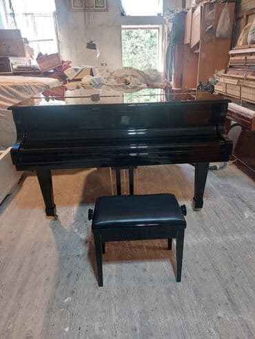 piano petrov: Royal Yeni Münasib qiymətə. Cadrılma və köklənmə qiymətə daxildi — 8