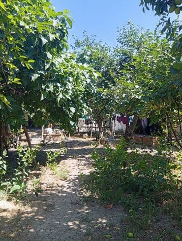 qazax rayonu: 4 otaqlı, 80 kv. m, Kredit yoxdur, Orta təmir — 16