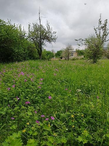 qebele ev satisi: 66 sot, Biznes üçün, Mülkiyyətçi, Kupça (Çıxarış) — 6