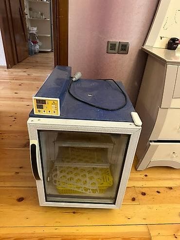Yumurtaların inkubasiyası üçün nəzərdə tutulmuş elektrik inkubatoru