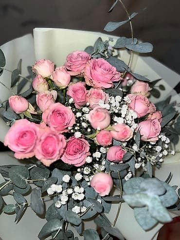 Ofisiant, Qadın, 27 yaş, 1-2 illik təcrübə