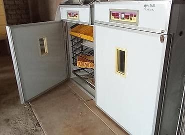 1500 yumurta, Tam avtomat, Bütün növ quşlaq üçün, Zəmanət ilə