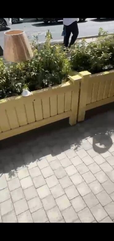 qızıl gül buketi: Dibçək Ağacdan hazırlanmış dekorativ uzun formalı çiçək yeşikləri - — 5