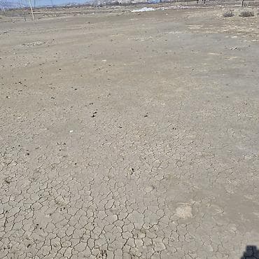 sabuncu torpaq: Tikinti — 1