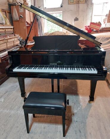 piano petrov: Royal Yeni Münasib qiymətə. Cadrılma və köklənmə qiymətə daxildi — 1