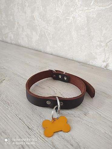 it üçün remen: Endirim edilir Məhsul: İt üçün dəridən yaxalıq. - Material: qalın — 1