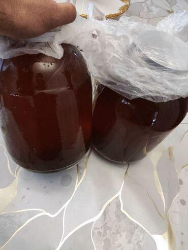 karobka yagi qiymeti: Qatqısız xalis dağ balı istəyənlər: Məhsul öz məhsulumuzdur. Müalicə — 3