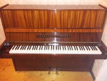 belarus 89 qiymeti: 240 manat alınıb 1 il bundan qabaq 
Ehtiyac olmadı 
Elədə satılır — 1