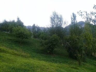 qara qarayev ev: 12 sot, Kupça (Çıxarış) — 1