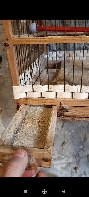 danşan quş: Taxta quş qəfəsi - Material: möhkəm taxta karkas, metal şəbəkə — 4