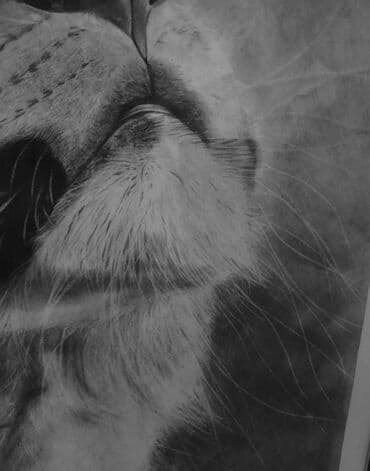 ana dilinə aid şəkillər çəkmək: Qara karandaşla 30 saata çəkilmiş hiperrealist rəsm əsəri satılır — 3