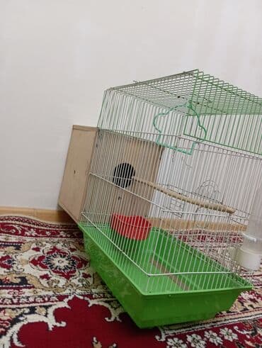 Xaltalar, qayışlar və tasmalar: Salam göründüyü kimidi real alıcıya endirim olajax Quş qəfəsi və — 5