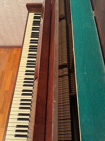 Электротранспорт: Пианино, Акустический, Платная доставка — 3