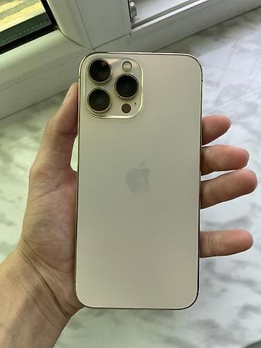 iphone se3: IPhone 13 Pro Max, 256 GB, Qızılı, Face ID — 1