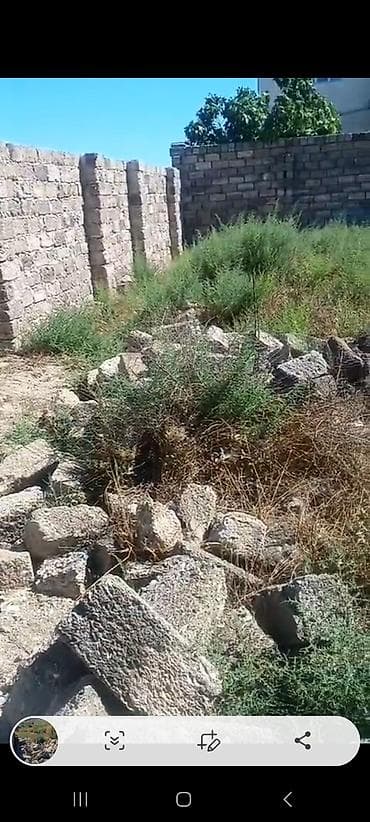 2 sot, Kənd təsərrüfatı, Kupça (Çıxarış) — 3