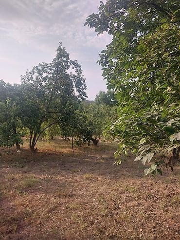 emircanda satilan evler: 25 sot — 9