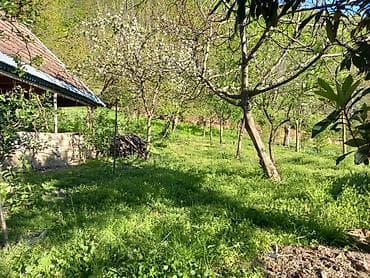 binede ipoteka evler: Iki mərtəbəli ev satılır. ətraflı məlumat üçün əlaqə telefonuna zəng — 10