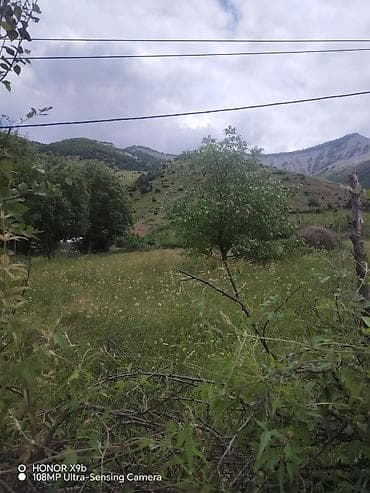 Tikinti — 5