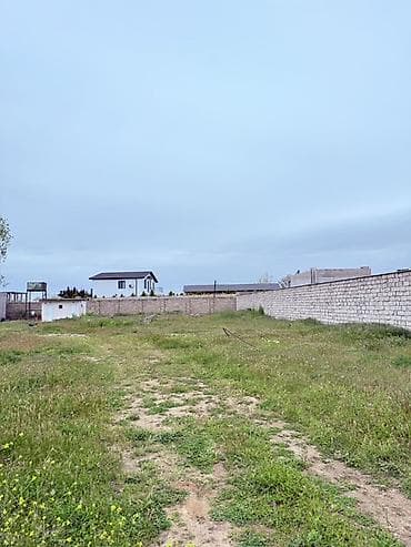 12 sot, Tikinti, Kupça (Çıxarış) — 3