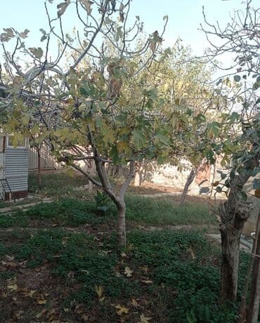 emircanda ev satisi: 6 otaqlı, 120 kv. m, Kredit yoxdur, Orta təmir — 3