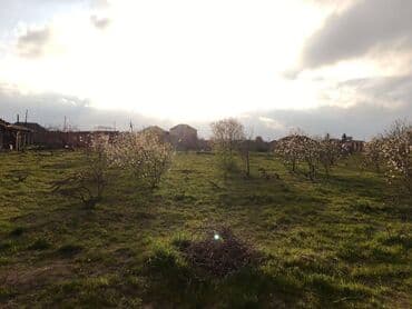 ist petrol tbilisi prospekti: 25 sot, Tikinti, Kupça (Çıxarış) — 8