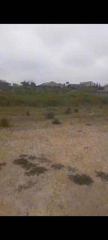 6 sot, Tikinti, Kupça (Çıxarış)