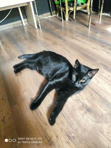 ağdaş yem fabriki: Yaxşı əllərə — 10