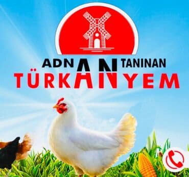 Salam Cücə yeminin satişi zakzlada çatdırılma var Sumqayıt daxili lalafo.az -da Salam Cücə yeminin satişi zakzlada çatdırılma var Sumqayıt daxili