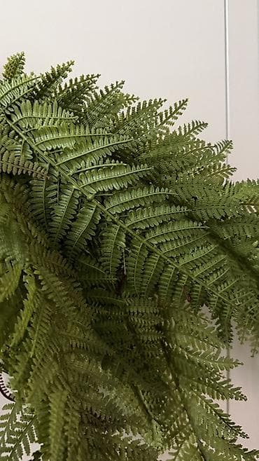 dekor suni guller: Искусственный папоротник. 10 веток. Выглядит, как настоящий. На — 2